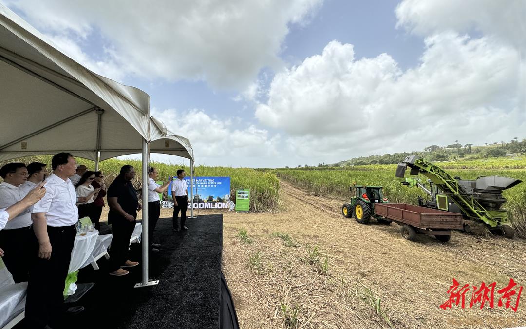 LETOU¹ú¼ÊÃ×À¼¡¤(ÖйúÇø)¹Ù·½ÍøÕ¾