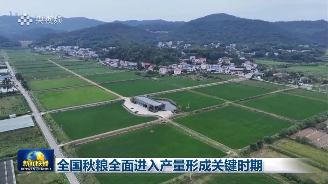 LETOU国际米兰·(中国区)官方网站